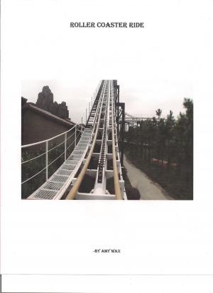 Book cover of Roller Coaster Ride