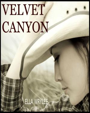 Cover of the book Velvet Canyon by Kate Christie