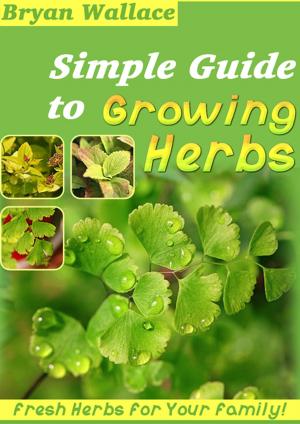 Book cover of Simple Guide to Grow Herbs