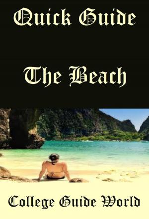 Book cover of Quick Guide: The Beach