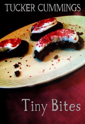 Book cover of Tiny Bites
