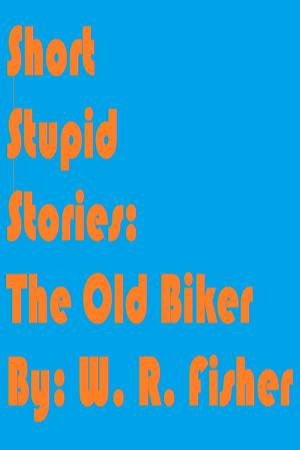 bigCover of the book The Old Biker by 