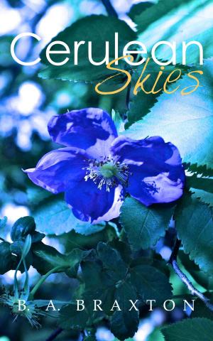bigCover of the book Cerulean Skies by 