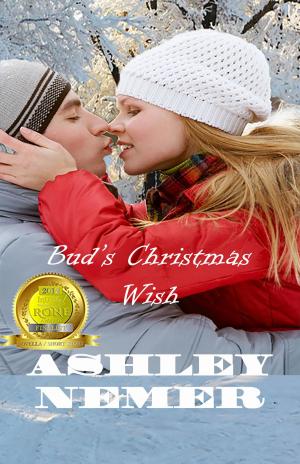 Cover of the book Bud's Christmas Wish by Susan Aylworth