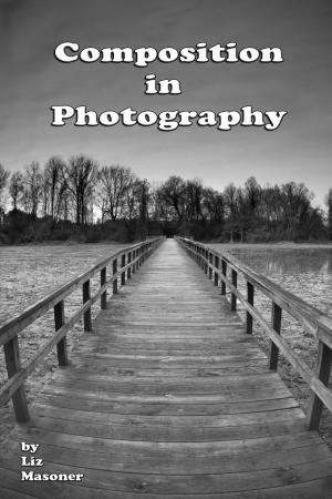 Cover of the book Composition in Photography by Brent Betz