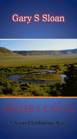 Cover of the book Heller's Canal by Charles J. Barone