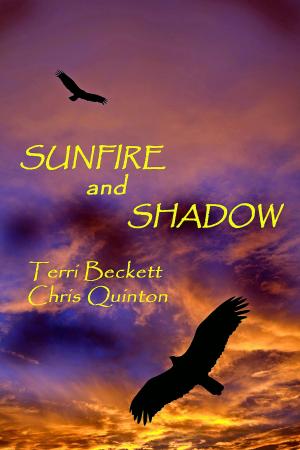 bigCover of the book Sunfire And Shadow by 