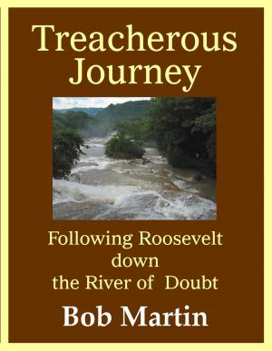 Book cover of Treacherous Journey: Following Roosevelt down the River of Doubt