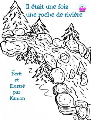 Book cover of Il était une fois une roche de rivière