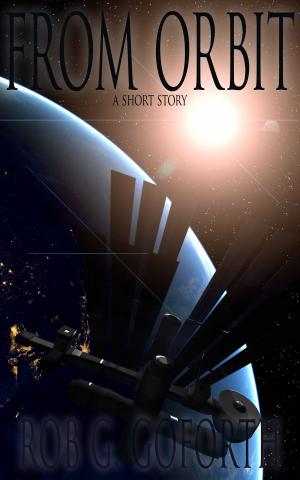 Cover of the book From Orbit by Robert J. S. T. McCartney