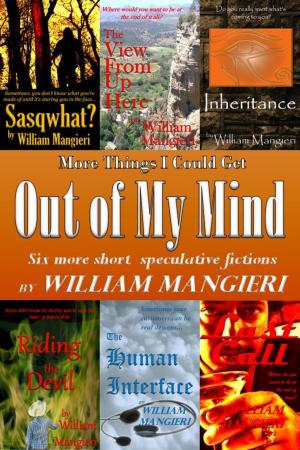 Cover of the book More Things I Could Get Out of My Mind by William Mangieri