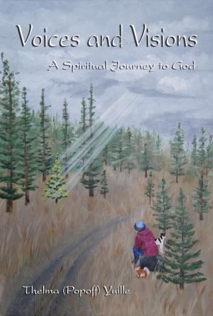 Cover of the book Voices and Visions: A Spiritual Journey to God by Kevin Dwyer
