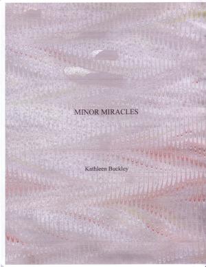 Cover of the book Minor Miracles by Lucinda D. Davis