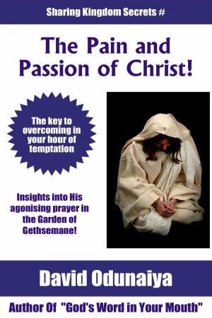 Cover of the book The Pain and The Passion of Christ by John Thomas