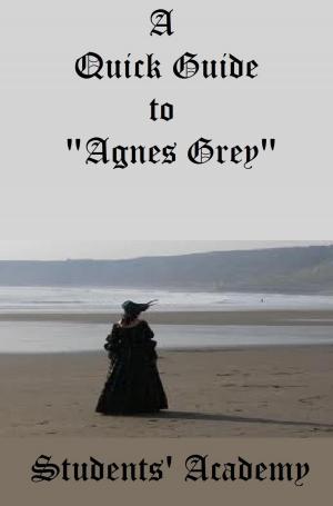 Cover of the book A Quick Guide to "Agnes Grey" by Bryan Collins