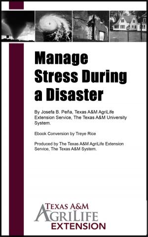 Cover of the book Manage Stress During a Disaster by Bruce Kaler M.D.