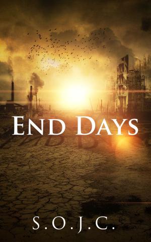 bigCover of the book End Days by 