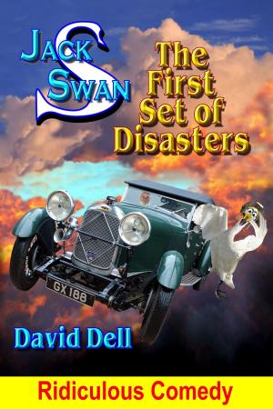 Book cover of Jack Swan Adventures-The first Set of Disasters