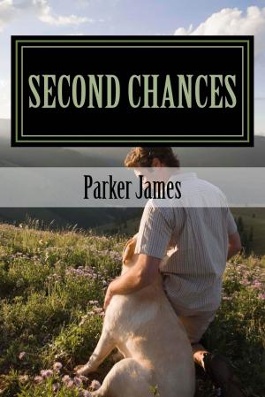 Cover of the book Second Chances by Casia Schreyer