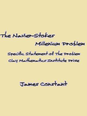 Cover of the book The Navier-Stokes Millenium Problem by James Constant