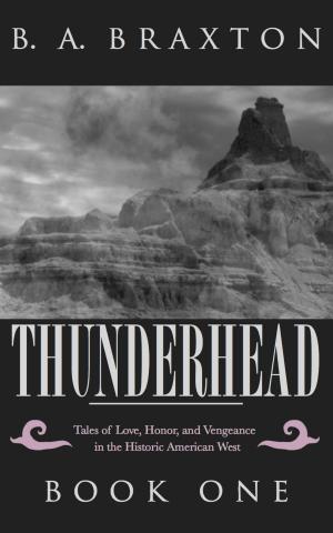 Cover of the book Thunderhead: Tales of Love, Honor, and Vengeance in the Historic American West, Book One by pd mac