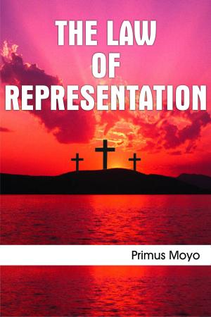 Book cover of The Law of Representation