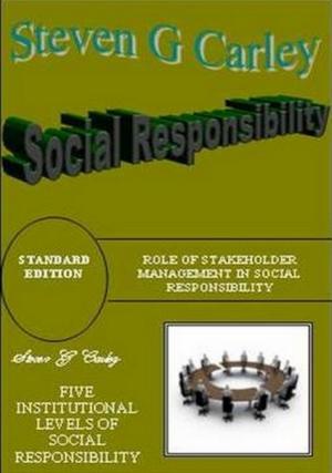 Cover of the book Social Responsibility by David Gaughran