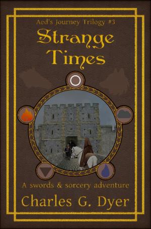 bigCover of the book Strange Times: Aed's Journey Vol. 3 by 