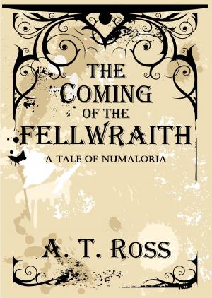 bigCover of the book The Coming of the Fellwraith by 