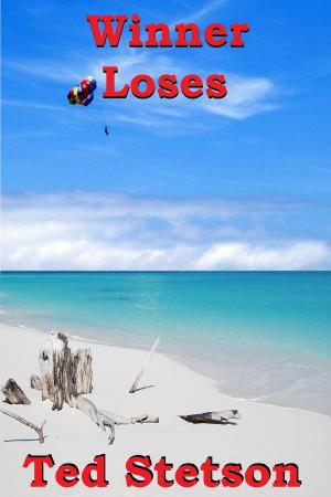 Cover of the book Winner Loses by Ted Stetson
