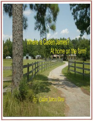 Cover of the book Where is Caden James? At Home on the Farm! by William Skeen