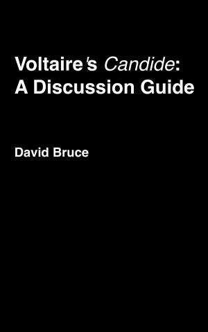 Book cover of Voltaire's "Candide": A Discussion Guide