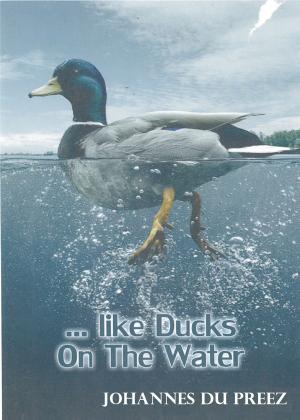 Cover of Like Ducks On The Water