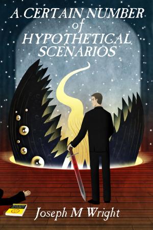 Cover of the book A Certain Number of Hypothetical Scenarios by Carol Ferro