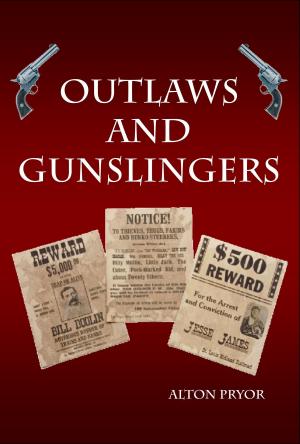 Book cover of Outlaws and Gunslingers