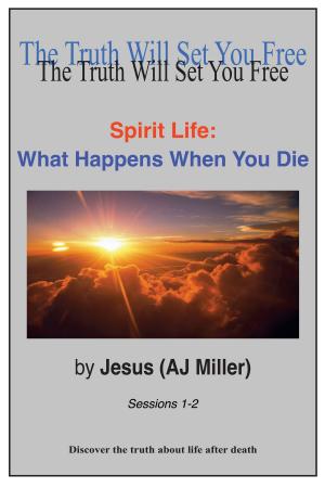 Cover of Spirit Life: What Happens When You Die Sessions 1-2