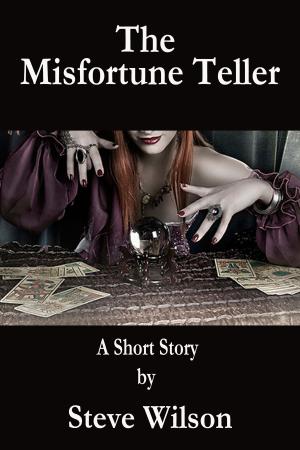 Cover of the book The Misfortune Teller by Erin McFadden
