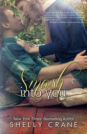Cover of the book Smash Into You by Thania Odyne
