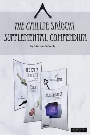 Book cover of The Caillte Saíocht Supplemental Compendium