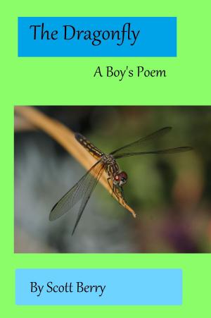 bigCover of the book The Dragonfly: A Boy's Poem by 