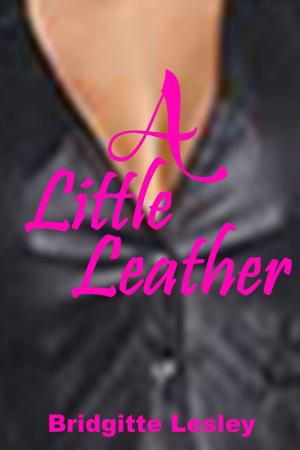Book cover of A Little Leather