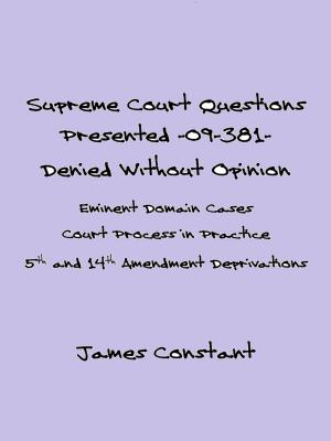 Cover of Supreme Court Questions Presented 09-381– Denied Without Opinion
