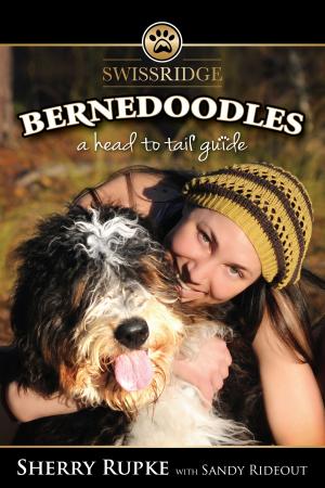 Cover of the book Bernedoodles: A Head to Tail Guide by Dennis Frankel