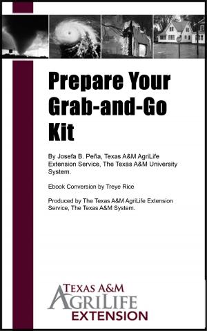 Book cover of Prepare Your Grab-and-Go Kit