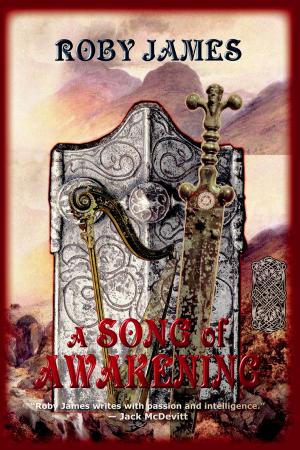 Cover of the book A Song of Awakening by Chet Gottfried