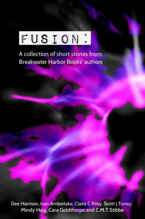 Cover of Fusion: A collection of short stories from Breakwater Harbor Books’ authors