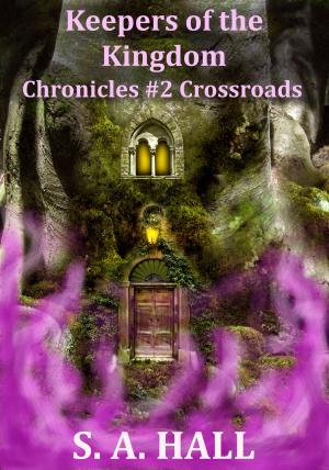 Book cover of Keepers of the Kingdom Chronicles #2 Crossroads