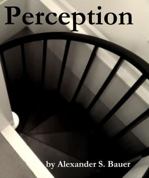 Cover of the book Perception by Alexander S. Bauer