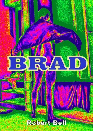 Cover of the book Brad by Geoff Lichy