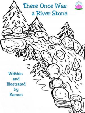Book cover of There Once Was a River Stone